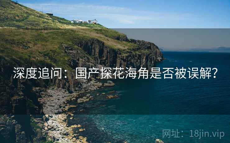 深度追问：国产探花海角是否被误解？