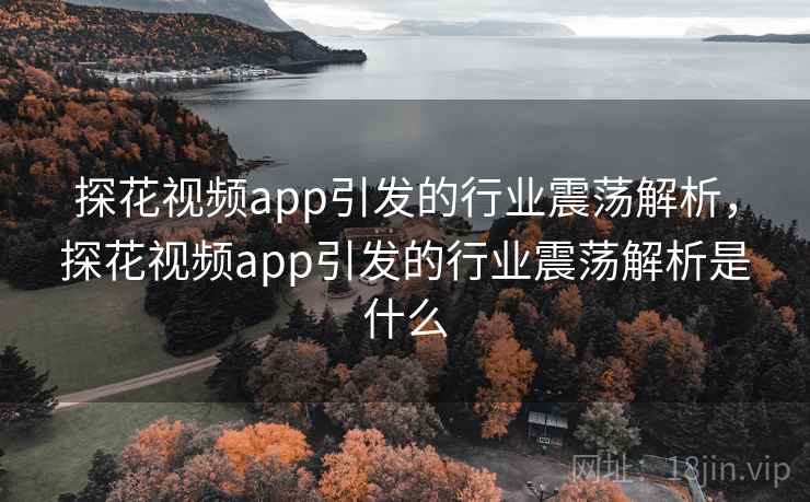 探花视频app引发的行业震荡解析，探花视频app引发的行业震荡解析是什么