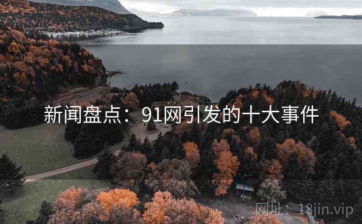 新闻盘点：91网引发的十大事件